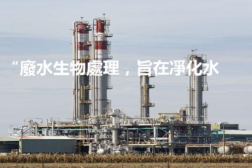 “廢水生物處理，旨在凈化水源，守護碧水藍天”